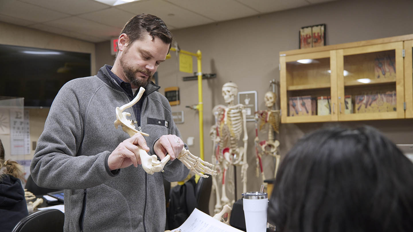 A male professor works with skeleton bones to help students prep for an upcoming exam.