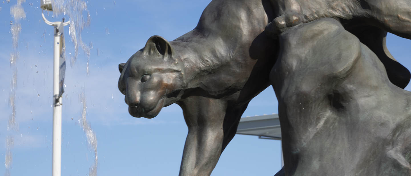 Outdoors bronze-color sculpture of cougar climbing down a rock with water spraying through the air next to it.