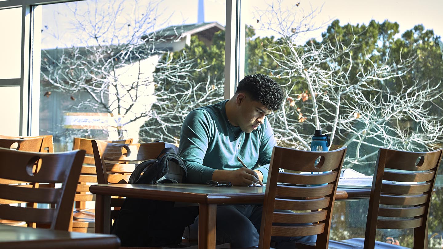 A student takes advantage of a moment alone in a corner of the library.