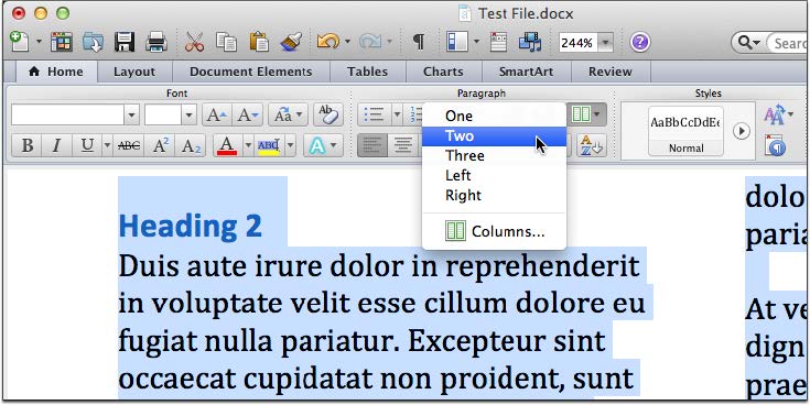 Columns in MS Word 2010 and Word for Mac 2011